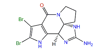 Cylindradine A